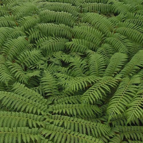 Photo #3622561