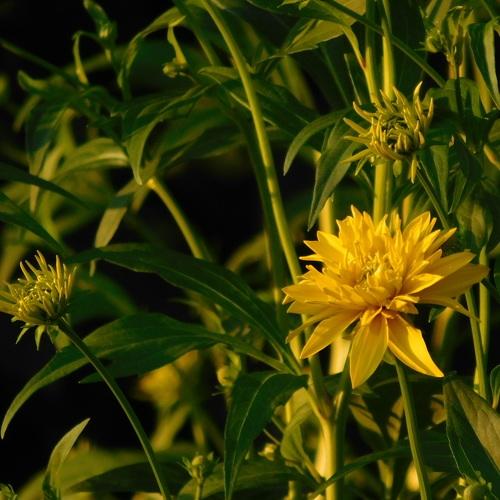 Photo #3622707