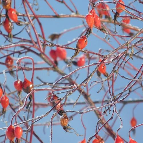 Photo #3622719