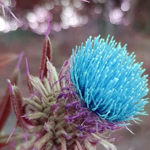 Photo #3622767