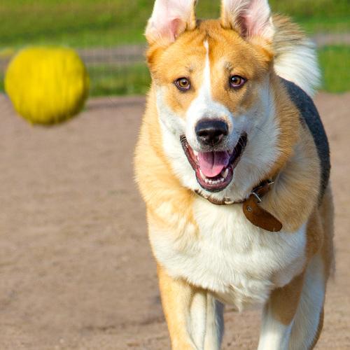 Photo #3622998