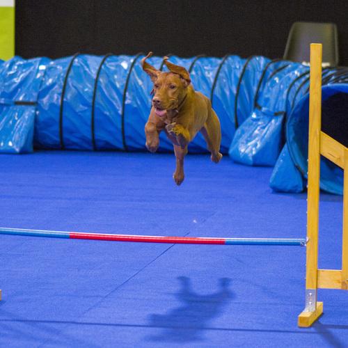 Photo #3623008