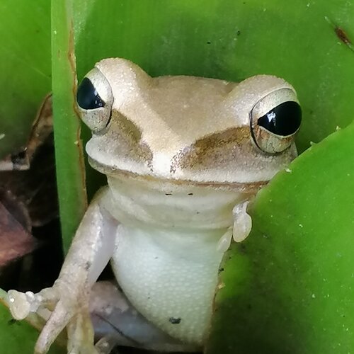 Photo #3623127