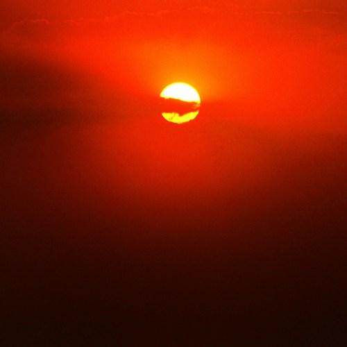 Photo #3623198