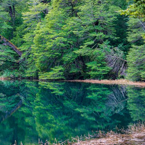 Reflejos