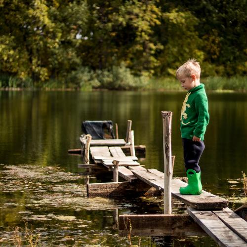 Photo #3623507