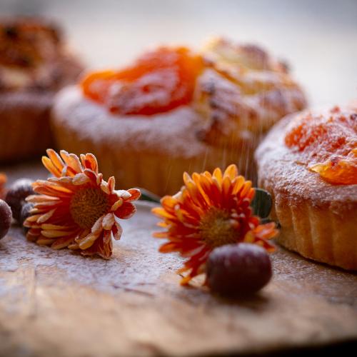 Photo #3623554