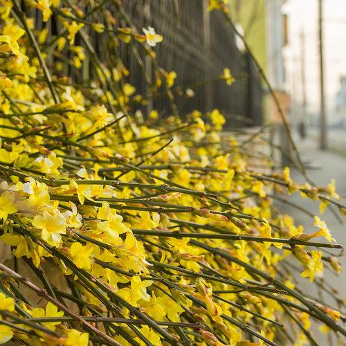 Photo #3623666