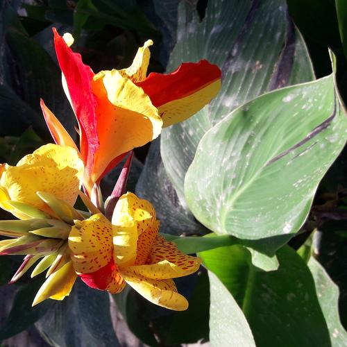 Photo #3624271