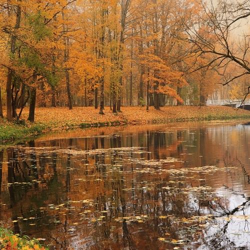 Photo #3624534