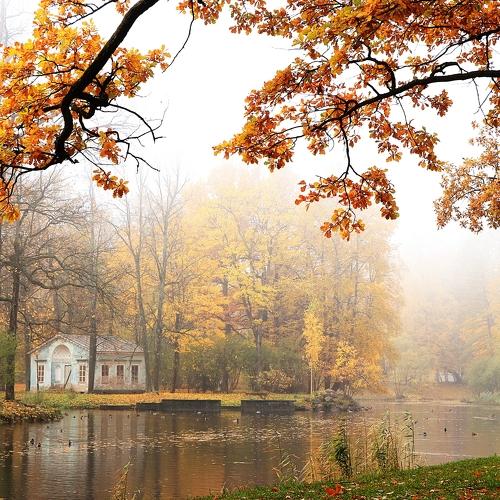 Photo #3624561