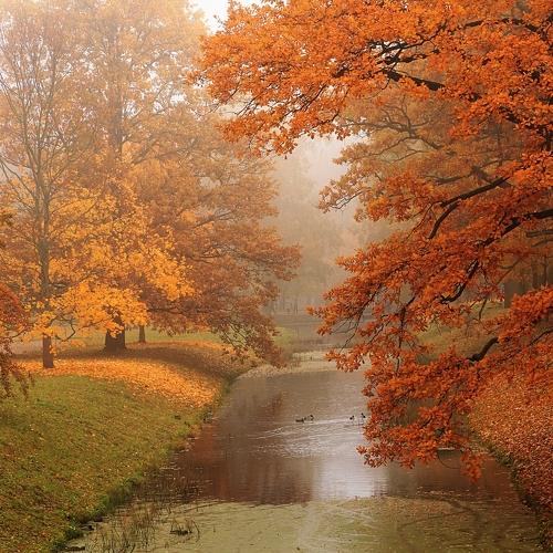 Photo #3624563