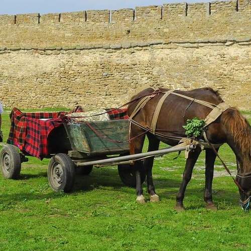 Photo #3624990