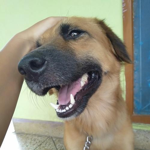 Photo #3625305