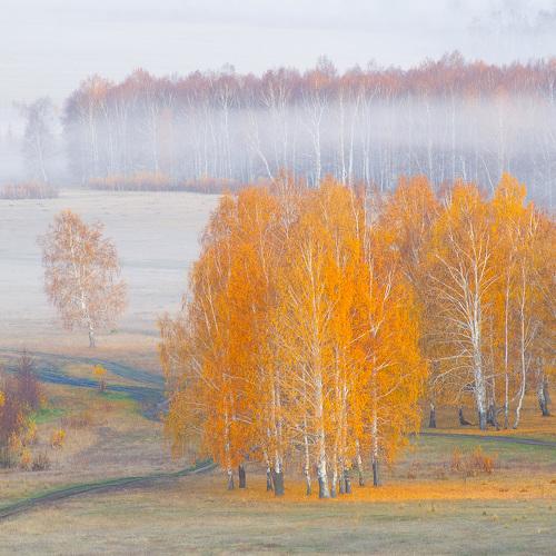 Фотография #3625361
