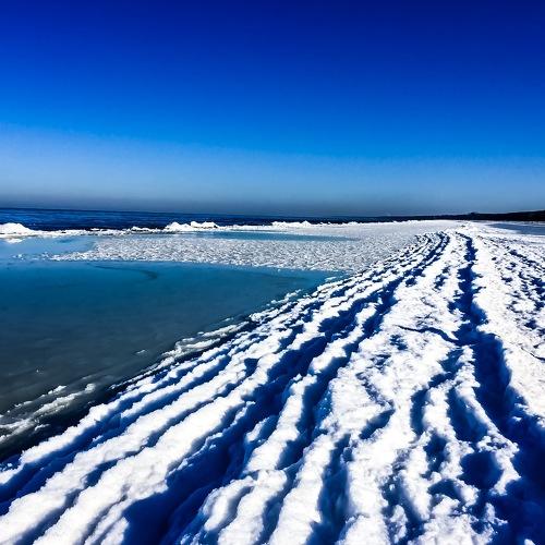 Photo #3625855