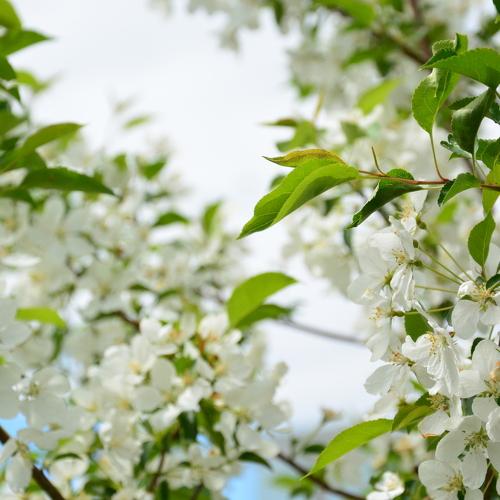 Photo #3626070