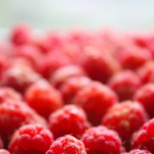 Photo #3626189