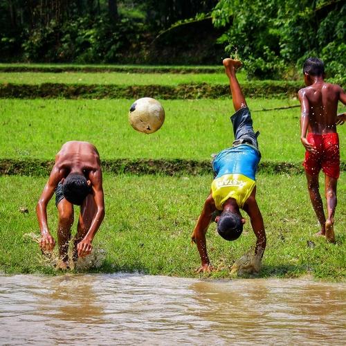 Photo #3626192