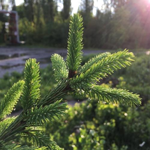 Photo #3626398