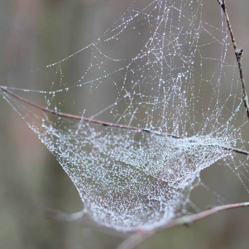 Photo #3626575