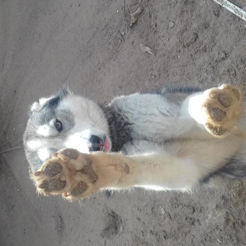 Photo #3626615