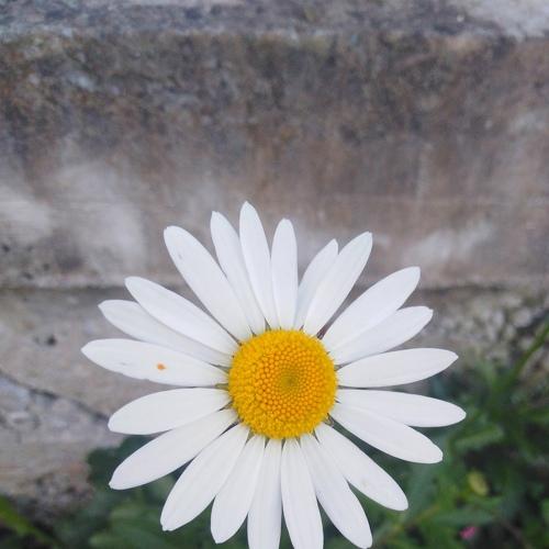 Photo #3626843
