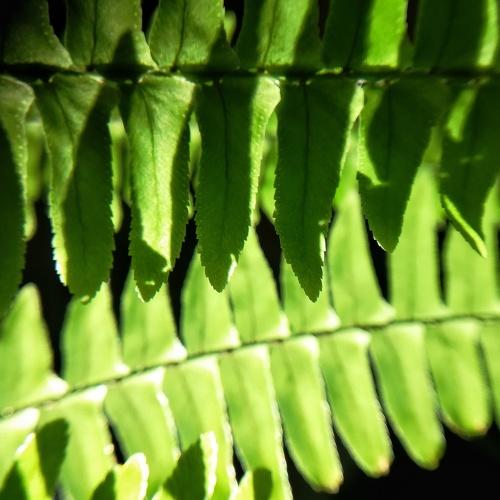 Photo #3627262