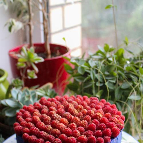Photo #3627477