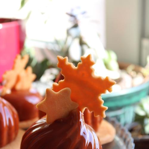 Photo #3627478