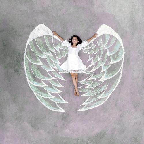 Photo #3627504