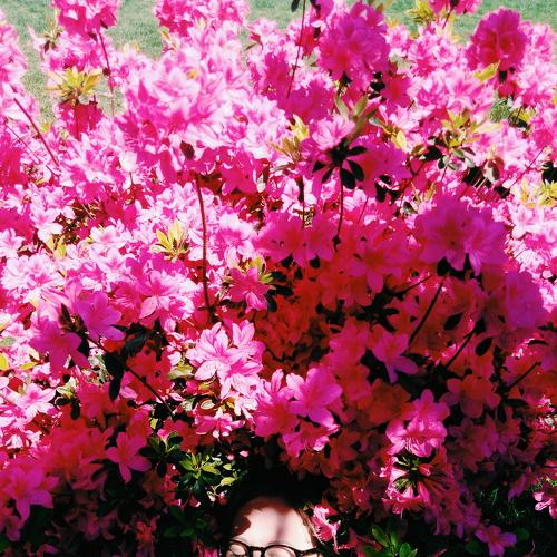 Photo #3627572