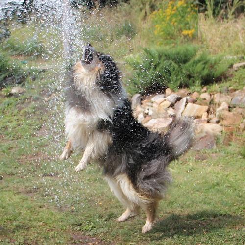Photo #3627669