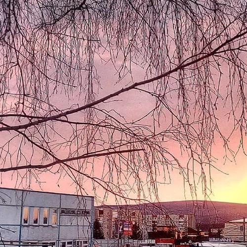 Photo #3627946