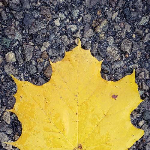 Photo #3628131