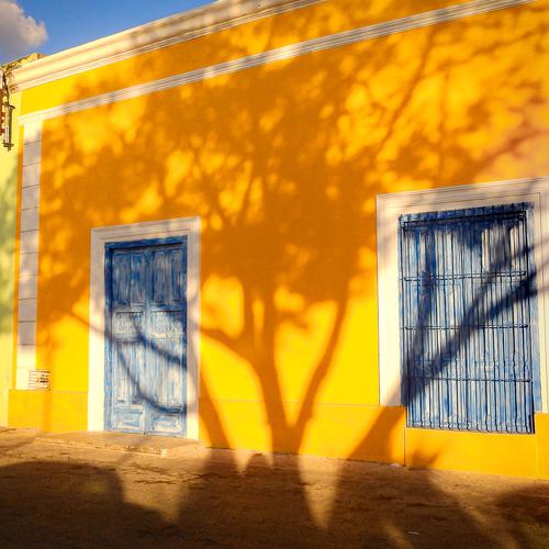 Photo #3628306