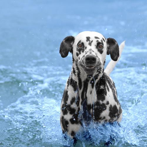 Photo #3628314