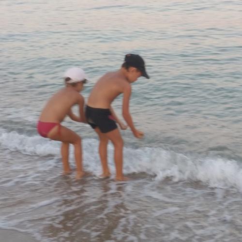Photo #3628711