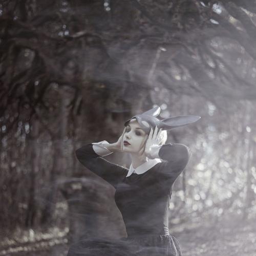 Photo #3628717