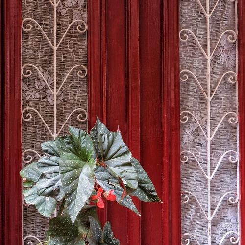 Red door