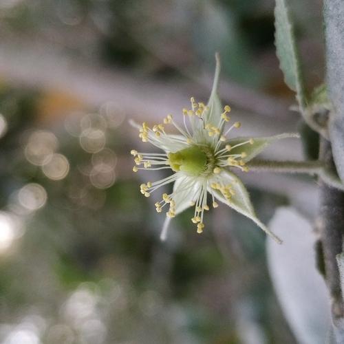 Photo #3629144
