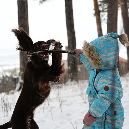 Photo #3629148