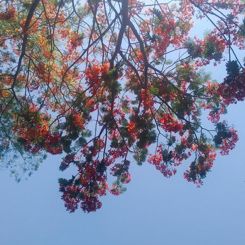 Photo #3630038