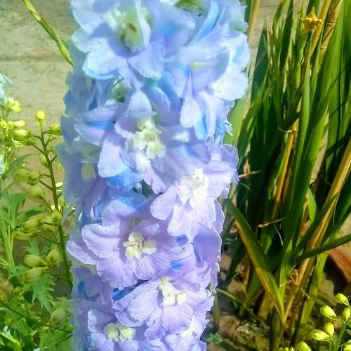 Photo #3630045