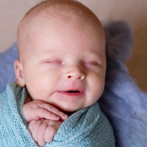 Photo #3630577