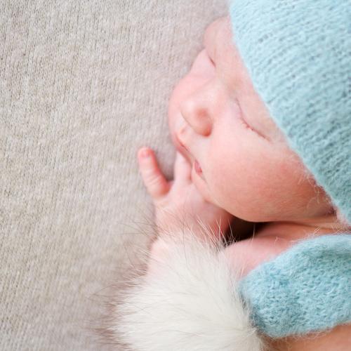 Photo #3630587