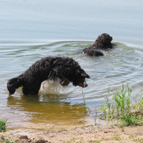 Photo #3630765