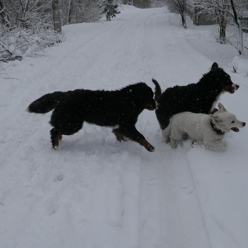 Photo #3630868