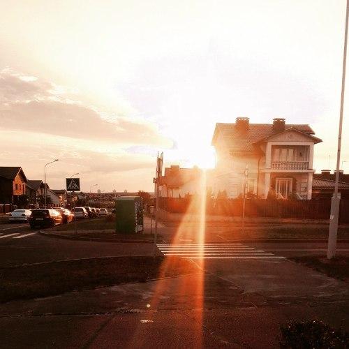 Photo #3631081