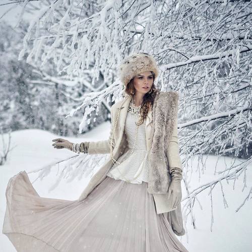Photo #3631083
